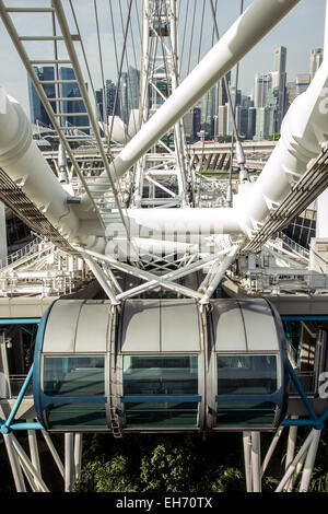 Singapore Flyer - Riesenrad Stockfoto