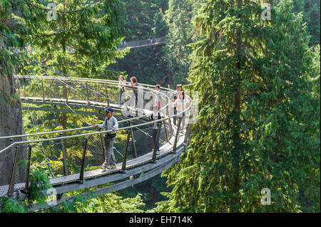 Detail der Cliff Walk an der Capilano Suspension Bridge, North Vancouver, BC. Kanada.  Hängebrücke wird im Hintergrund gesehen. Stockfoto