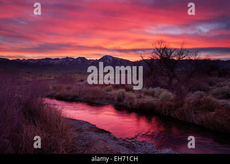 Owens Valley Sonnenuntergang mit Reflexion im Fluss Owens Stockfoto