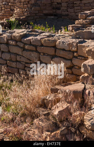 Lowry-Pueblo-Ruinen, Schluchten der alten National Monument in der Nähe von Cortez, Colorado. Stockfoto