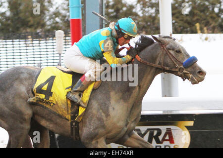 Jamaica, New York, USA. 7. März 2015. 7. März 2015: El Kabeir mit c.c. Lopez gewinnt den 63. Ablauf der Klasse III Gotham Stakes für 3 - jährige, gehen 1 1/16 Meile am Aquädukt Racetrack. Trainer: John Terranova. Besitzer: Zayat Stables. Sue Kawczynski/ESW/CSM/Alamy Live-Nachrichten Stockfoto