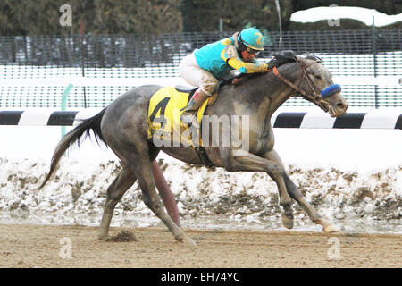 Jamaica, New York, USA. 7. März 2015. 7. März 2015: El Kabeir mit c.c. Lopez gewinnt den 63. Ablauf der Klasse III Gotham Stakes für 3 - jährige, gehen 1 1/16 Meile am Aquädukt Racetrack. Trainer: John Terranova. Besitzer: Zayat Stables. Sue Kawczynski/ESW/CSM/Alamy Live-Nachrichten Stockfoto