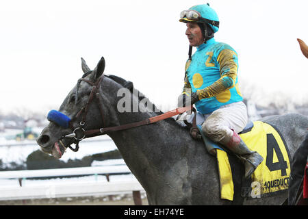 Jamaica, New York, USA. 7. März 2015. 7. März 2015: El Kabeir mit c.c. Lopez gewinnt den 63. Ablauf der Klasse III Gotham Stakes für 3 - jährige, gehen 1 1/16 Meile am Aquädukt Racetrack. Trainer: John Terranova. Besitzer: Zayat Stables. Sue Kawczynski/ESW/CSM/Alamy Live-Nachrichten Stockfoto