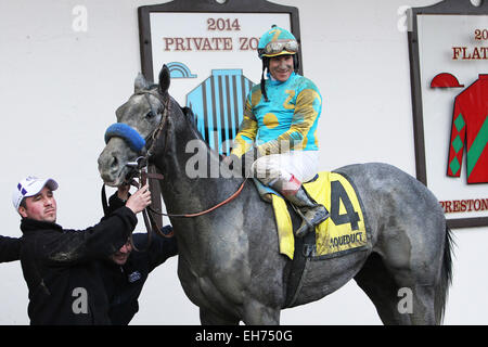 Jamaica, New York, USA. 7. März 2015. 7. März 2015: El Kabeir mit c.c. Lopez gewinnt den 63. Ablauf der Klasse III Gotham Stakes für 3 - jährige, gehen 1 1/16 Meile am Aquädukt Racetrack. Trainer: John Terranova. Besitzer: Zayat Stables. Sue Kawczynski/ESW/CSM/Alamy Live-Nachrichten Stockfoto