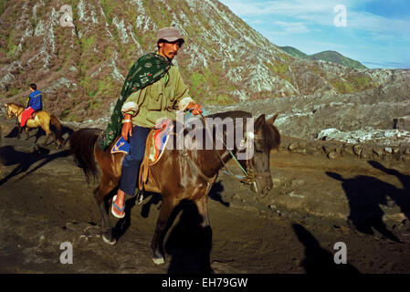 Mann auf dem Rücken der Pferde. Mount Bromo, Java. Stockfoto