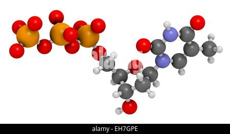 Thymidin Triphosphat Molekül Stockfoto