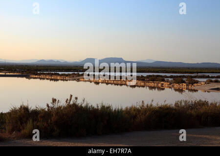 Meersalz in die Salines de Llevant in der Nähe von Es Trenc, Mallorca, Balearen, Spanien. Stockfoto