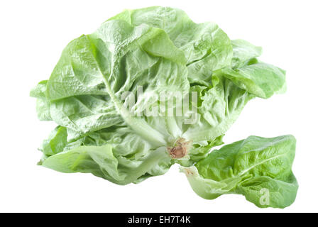 Frischer grüner Salat auf weißem Hintergrund. Stockfoto