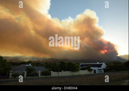 Sommer wilde Feuer in Kapstadt Stockfoto