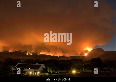 Sommer wilde Feuer in Kapstadt Stockfoto