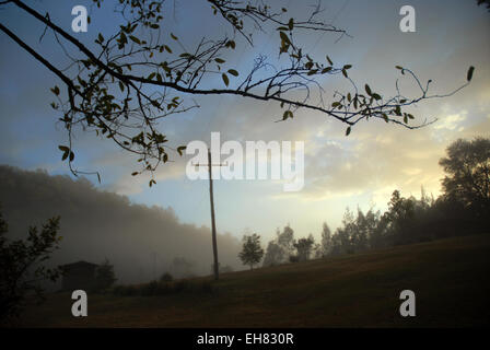 Mebbin National Park, New-South.Wales, Australien. Stockfoto