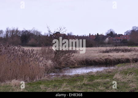 Der Fluss Glaven in Wiveton, North Norfolk, Blickrichtung stromabwärts Cley-Next-the-Sea. Stockfoto