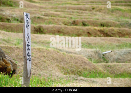 Holzstab im Reisfeld, mit Inschrift mit dem Namen des Eigentümers Stockfoto