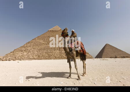 Mann in traditioneller Kleidung auf einem Kamel vor der Pyramide des Chephren in Gizeh, UNESCO, in der Nähe von Kairo, Ägypten, Nordafrika, Afrika Stockfoto