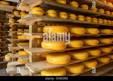 Käse-Lager, Zuiderzee Freilichtmuseum, See Ijssel, Enkhuizen, Nord-Holland, Niederlande, Europa Stockfoto