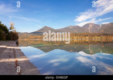 Herzogstand Berg, Heimgarten reflektiert im Walchnsee-See im Herbst, Bayerische Alpen, Upper Bavaria, Bavaria, Germany Stockfoto