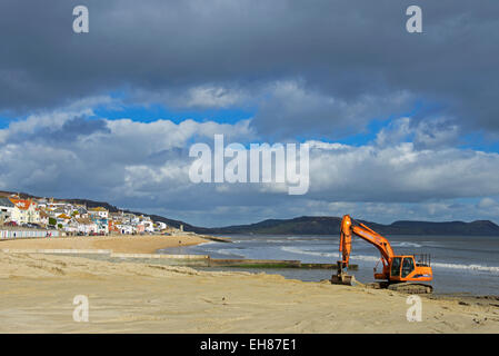 Nivellierung des Strands mit einem JCB Bagger, Lyme Regis, Dorset, England UK Stockfoto