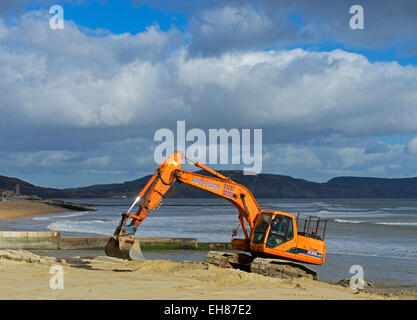 Nivellierung des Strands mit einem JCB Bagger, Lyme Regis, Dorset, England UK Stockfoto