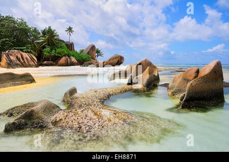 Granitfelsen und Palmen auf Anse la Réunion Strand, Insel La Digue, La Digue und Inner Islands, Seychellen Stockfoto