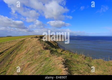 Cleveland Weise National Trail, Filey, North Yorkshire, England, UK. Stockfoto