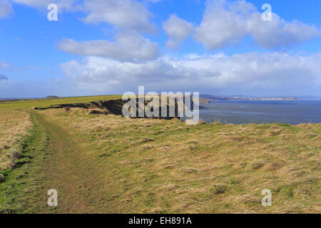 Cleveland Weise National Trail, Filey, North Yorkshire, England, UK. Stockfoto