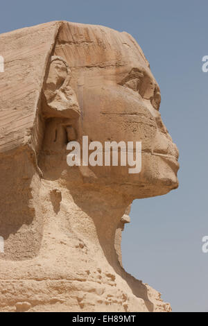 Detail der erodierten Fläche der Sphinx in Gizeh, UNESCO-Weltkulturerbe in der Nähe von Kairo, Ägypten, Nordafrika, Afrika Stockfoto