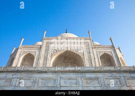 Agra, Uttar Pradesh, Indien - 4. Oktober 2014: die Nahaufnahme des Taj Mahal Denkmal am Morgen, Agra, Indien am 04 Oktober, 2 Stockfoto