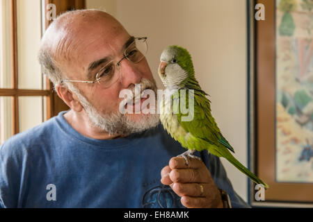 Mann hält und ermutigend sein Haustier Mönch Sittich zu reden, in Galena, Illinois, USA Stockfoto