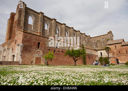 Abtei San Galgano Ruinen in Chiusdino, Siena, Toskana, Italien, Europa Stockfoto