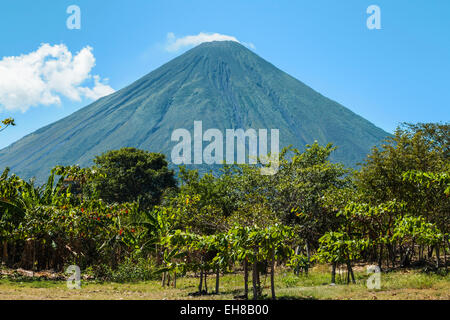 Der bewaldete Seite von 1610m Active Volcan Concepcion, Isla Omotepe See Nicaragua, Nicaragua Stockfoto