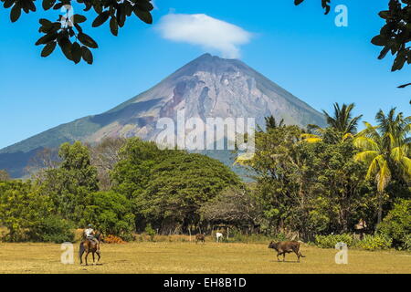 Die 1610m aktive Volcan Concepcion, größere von zwei Vulkanen, die beliebte Omotepe Insel, See Nicaragua, Nicaragua bilden Stockfoto