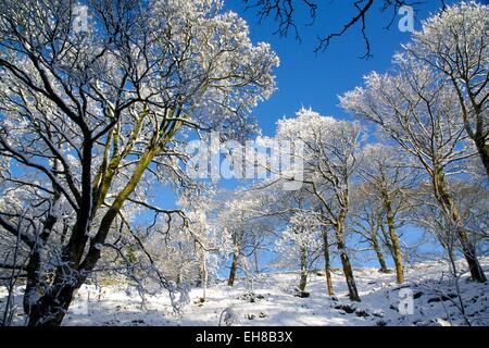 Schnee-Szene auf Snake Pass, Peak District National Park, Derbyshire, England, Vereinigtes Königreich, Europa Stockfoto