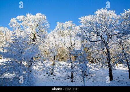 Schnee-Szene auf Snake Pass, Peak District National Park, Derbyshire, England, Vereinigtes Königreich, Europa Stockfoto