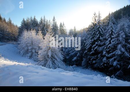 Schnee-Szene auf Snake Pass, Peak District National Park, Derbyshire, England, Vereinigtes Königreich, Europa Stockfoto