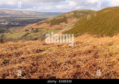 Blick vom Hergest Ridge auf der England - Wales Grenze nach Norden nach Hanter Hill Powys Wales im Frühjahr März UK Stockfoto