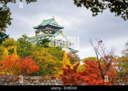 Burg von Osaka in der Herbstsaison. Stockfoto