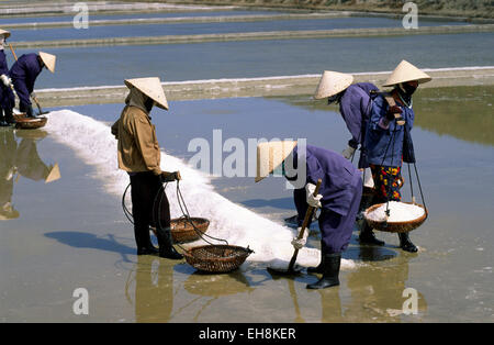 Vietnam, Nha Trang, Cam Ranh Salzfelder Stockfoto