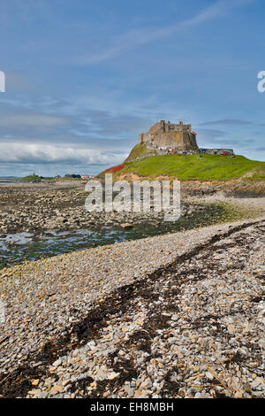 Heilige Insel Lindisfarne Castle Northumberland; UK Stockfoto