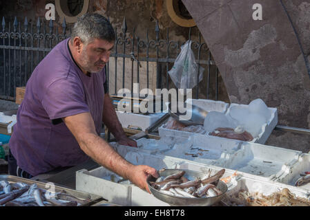 Mann im Fischmarkt, Catania Stockfoto