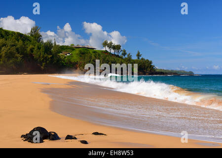 Secret Beach in der Nähe von Kilauea Point, Kauai, Hawaii, USA Stockfoto