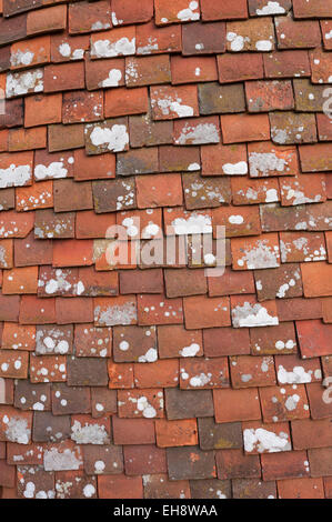 Überlappende gemischte handgefertigte Ton Fliesen Dachziegel hängen auf der Oberfläche eines Oast House eine billige Weise des Haltens der Regen Stockfoto