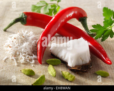 Frische rote Chilis mit Kokosraspeln & cardomon Samen. Indische Gewürze aus Anordnung Stockfoto