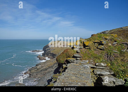 Blick von der Burg in Richtung Barras Nase, Tintagel, Cornwall, UK. Stockfoto