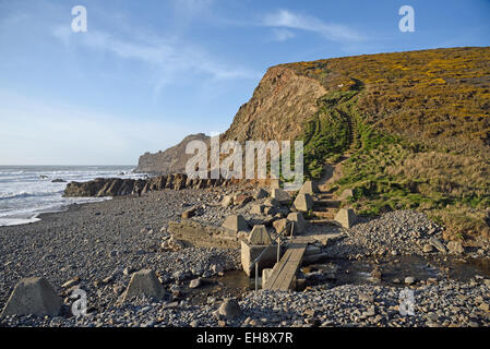 Menachurch Punkt, dem Strand und Klippen an Northcott Mündung in der Nähe von Bude. Stockfoto