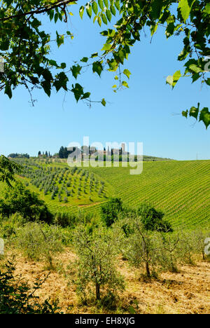 Monte Oliveto Bauernhof mit Kirche und die umliegenden Weinberge und Olive Bäume zwischen Santa Lucia und San Gimignano, Toskana, Italien Stockfoto