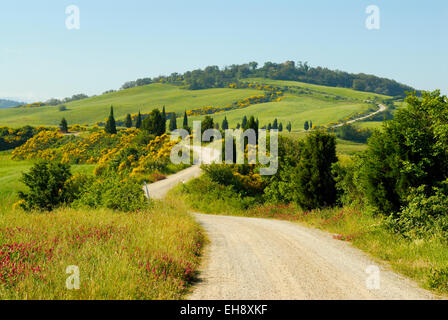 Kurvenreiche Schotterstraße Land durch Landschaft, Toskana, Italien Stockfoto