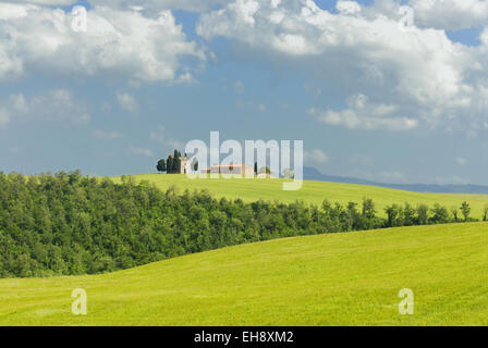 Kapelle des Vitaleta (Capella di Vitaleta), San Quirico d ' Orcia, Val d ' Orcia, in der Nähe von Pienza, Toskana, Italien Stockfoto