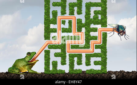 Anpassung an die Herausforderungen sein flexibles Konzept als ein grüner Frosch mit einer Zunge lösen ein Labyrinth, eine Fliege zu fangen, als Lösung Metapher für adaptive Erfolg durch lernen und Fähigkeiten von Pflanzen gemacht. Stockfoto