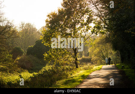 Lagan Treidelpfad, Belfast Stockfoto