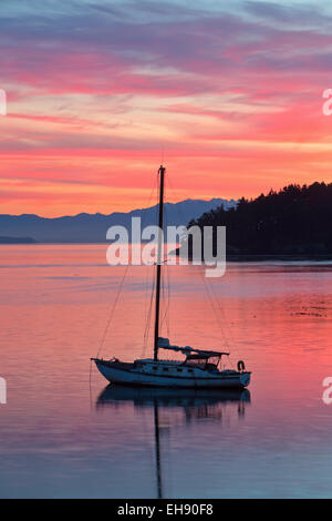Ein Segelboot ist sicher im Hafen von Bowman Bay auf Whidbey Island bei Sonnenuntergang. Stockfoto